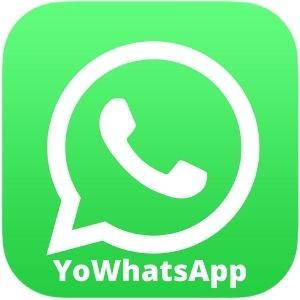 YoWhatsApp