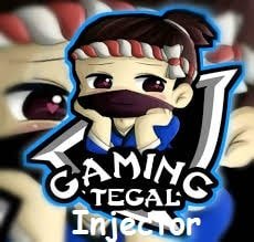 Gaming Tegal Injector